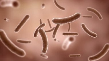 Elektron mikroskobu tarafından görülen bakteri. HD