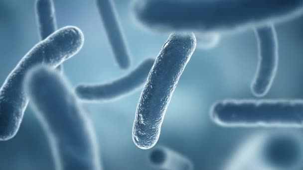 Bactéries observées au microscope électronique. HD 