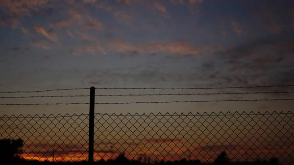 Fence Barbed Wire Sunset — Stock Photo, Image