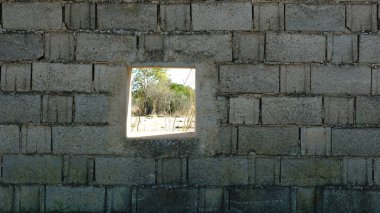 Ormana bakan beton duvar penceresi