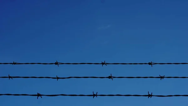 Alambres Púas Contra Cielo Fondo — Foto de Stock