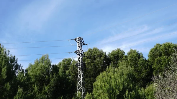Electric Tower Post Trees — Stock Photo, Image