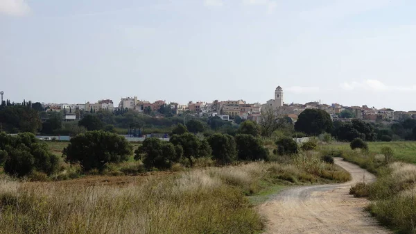 Camino Rural Que Conduce Pueblo — Foto de Stock