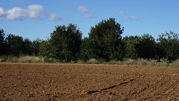 Geploegd Land Met Bomen Achtergrond — Stockfoto