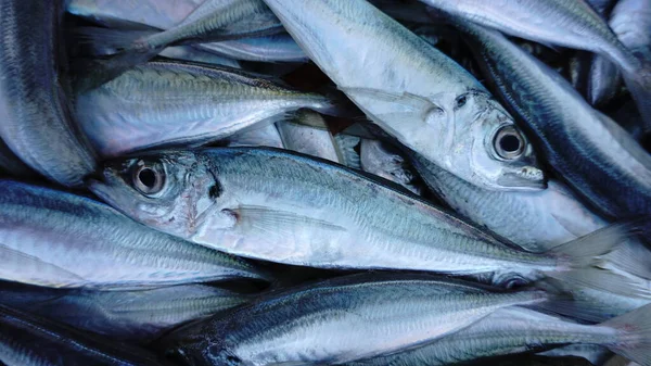 Färsk Fisk Marknaden Som Bakgrund — Stockfoto
