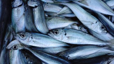 Pazardaki balıkları kapat.