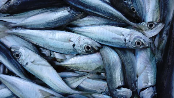 Закрыть Рыбу Рынке — стоковое фото