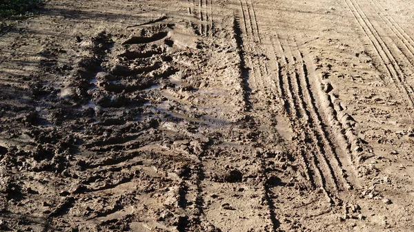 mud tire marks on path