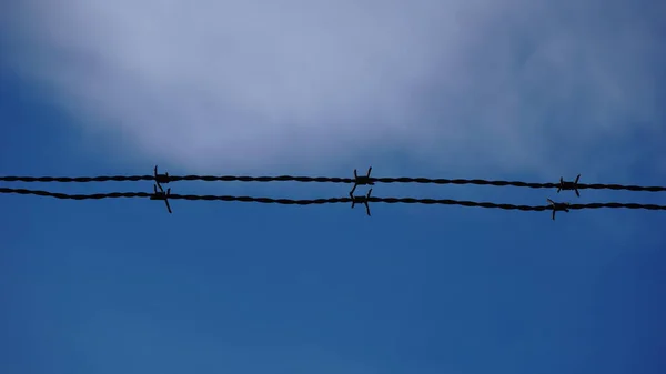 Prikkeldraad Tegen Achtergrond Van Lucht — Stockfoto