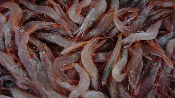 Fresh Prawn Fished Background — Stock Photo, Image