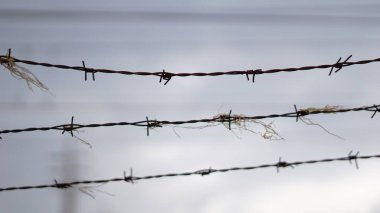 Dikenli tellere dolanmış plastik