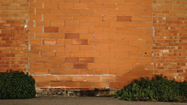 レンガの壁を背景にした歩道 — ストック写真
