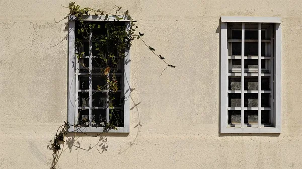 Fenêtres Rustiques Façade Comme Arrière Plan — Photo