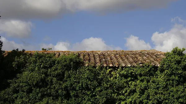 Tile Roof Cloudy Sky — Stock Photo, Image