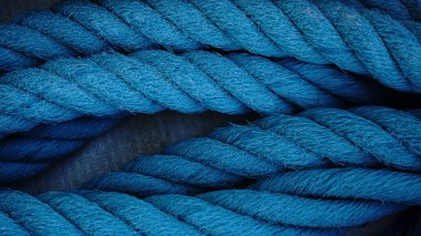 Parlak Mavi Kordajın Makro Dokusu