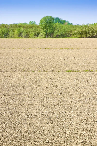 Ackerfeld pflügen vor der Aussaat — Stockfoto