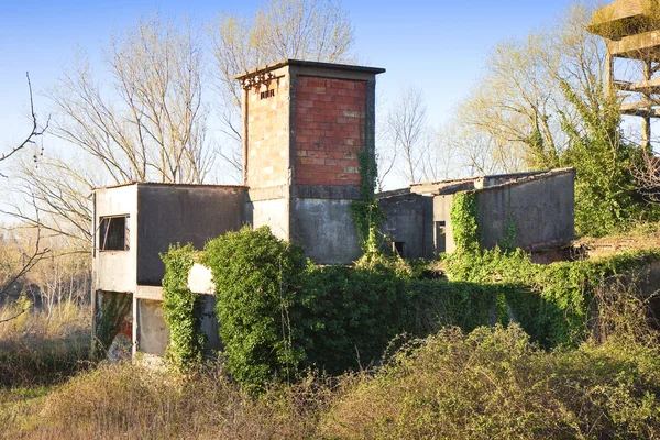 Velha estrutura de fábrica de concreto abandonado ultrapassado pela natureza — Fotografia de Stock