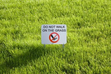 Çimenlerin üzerinde yürüme