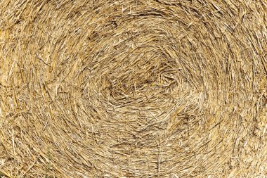 Saman arka plan: saman içinde dairesel bir desen yaptı