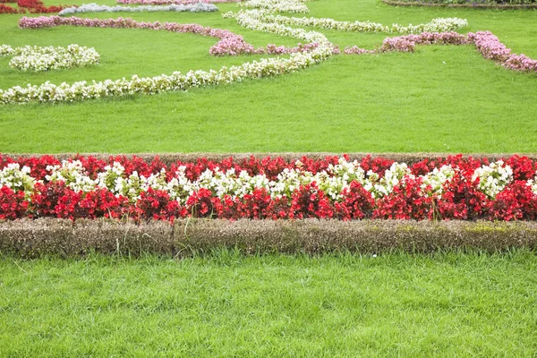 Onun renk ince manikürlü Bahçe gösterir