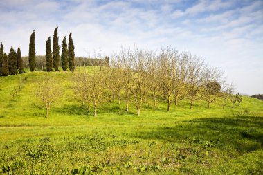 Tuscany hill manzara