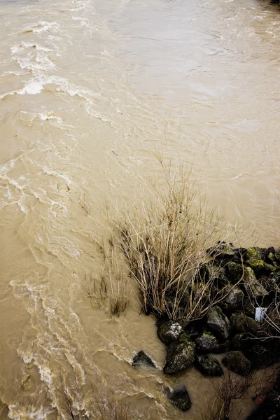 Río en inundación después de varios días de lluvia — Foto de Stock