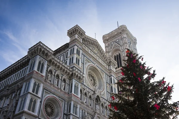 Slavná katedrála ve Florencii s vánoční stromeček — Stock fotografie
