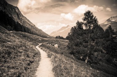 Sils Gölü (Engadin Vadisi - İsviçre) etrafında yürüyüş - sepia tonlu