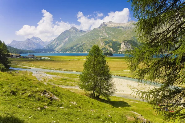 Walking Sils Lake Upper Engadine Valley Switzerland Europe — Stock Photo, Image