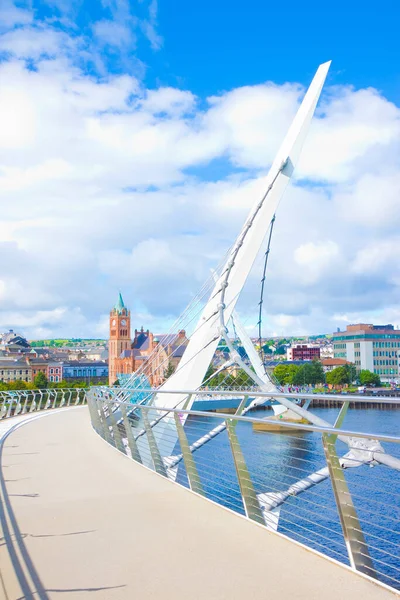 Skyline Urbano Ciudad Derry También Llamado Londonderry Irlanda Del Norte — Foto de Stock