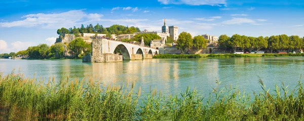 阿维尼翁市的全景 具有古老的中世纪桥圣贝内塞和罗纳河的前景 普罗旺斯 — 图库照片