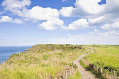 Yürüyen İrlanda manzarası (Kuzey İrlanda - Birleşik Krallık).