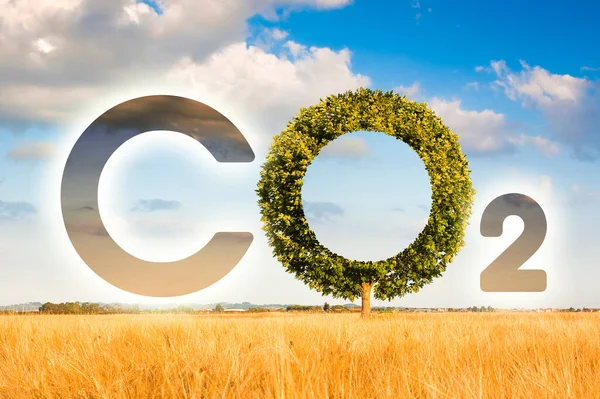 Reduction Amount Co2 Emissions Concept Image Co2 Icon Text Tree — Stock Photo, Image