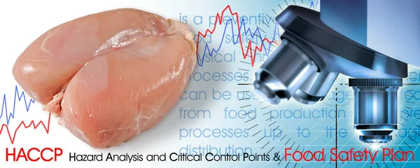 Fresh Chicken Meat Haccp Hazard Analyses Critical Control Points Concept — Stock Photo, Image