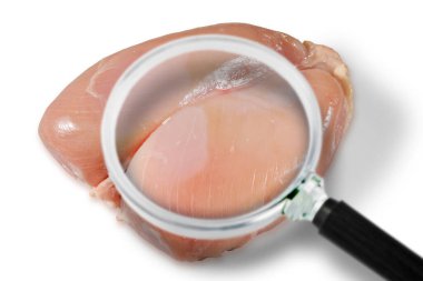 Taze tavuk eti HACCP (Tehlikeli Analizler ve Kritik Kontrol Noktaları) konsepti - gıda endüstrisinde gıda güvenliği ve kalite kontrolü.