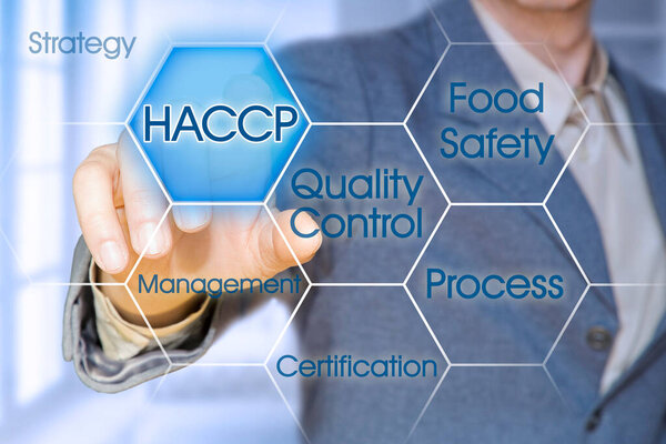 HACCP (Hazard Analyses and Critical Control Points) - "Анализ рисков и критические контрольные точки" - концепция контроля качества и безопасности продуктов питания в пищевой промышленности с бизнес-менеджером, указывающим на индикаторы на цифровом дисплее.