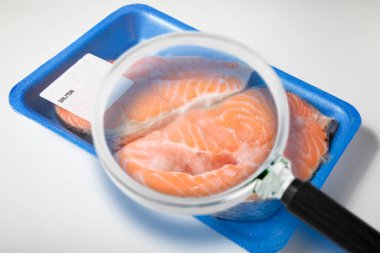 HACCP (Tehlikeli Analizler ve Kritik Kontrol Noktaları) - Gıda endüstrisinde Gıda Güvenliği ve Kalite Kontrolü - plastik kaplama ambalajı ve büyüteçle kaplanmış plastik tepside taze balık somonu kavramı. 