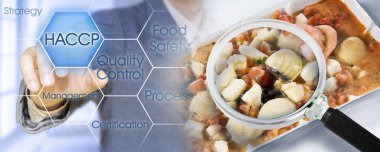 Donmuş kabuklular HACCP (Tehlikeli Analizler ve Kritik Kontrol Noktaları) - gıda endüstrisinde Gıda Güvenliği ve Kalite Kontrolü - büyüteç altında kabuklu deniz hayvanı kavramı
