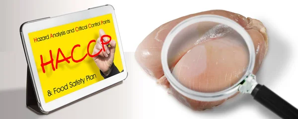 Carne Pollo Fresca Haccp Hazard Analyses Critical Control Points Concepto —  Fotos de Stock