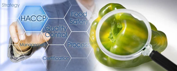 Haccp Análises Risco Pontos Controle Críticos Segurança Alimentar Controle Qualidade — Fotografia de Stock