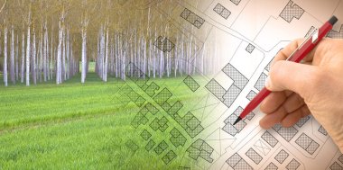 Imaginary topographic cadastral map and land parcels of territory with trees on background and buildable vacant land for sale - concept image. clipart
