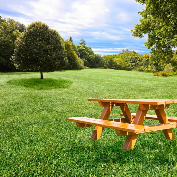 Mesa Piquenique Madeira Vazia Prado Verde Com Árvores Imagem Com — Fotografia de Stock