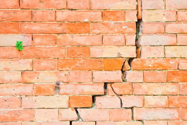 Fissure Profonde Dans Vieux Mur Briques — Photo