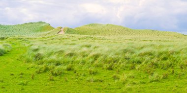 Kum tepecikli vahşi İrlanda manzarası - Sahillere ve okyanusa doğru doğa yolu (Mullagmore - İrlanda).