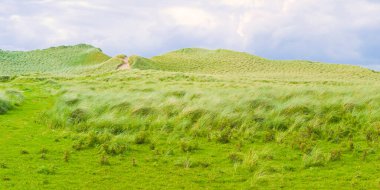 Kum tepecikli vahşi İrlanda manzarası - Sahillere ve okyanusa doğru doğa yolu (Mullagmore - İrlanda).