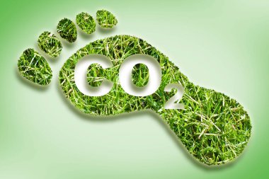 Karbon ayak izi konsepti görüntüsü ile CO2 metni ile çimen şeklindeki ayak izine karşı - CO2 nötr ve ekolojik kavram ile ayak sembolü.