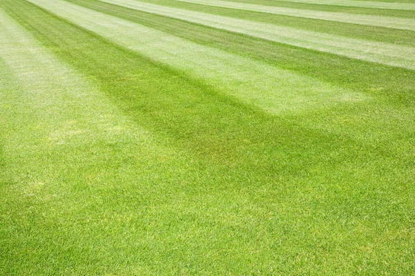 Fresco Bellissimo Prato Verde Falciato Sfondo Del Famoso Luogo Piazza — Foto Stock