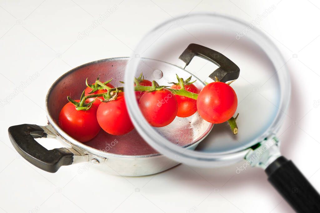 HACCP (Hazard Analyses and Critical Control Points) - Food Safety and Quality Control in food industry -concept with tomatoes seen through a magnifying glass.