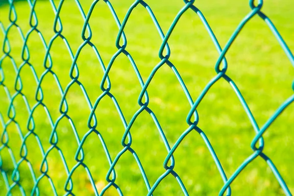 Green Metal Wire Mesh Green Area Public Park Private Property — Stock Photo, Image