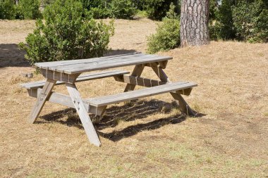 Tahta boş piknik masası yazın ağaçlarla dolu bir parkta.